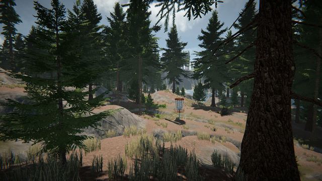 Wooded fairway through tall pines