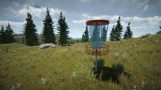Basket in a grassy clearing
