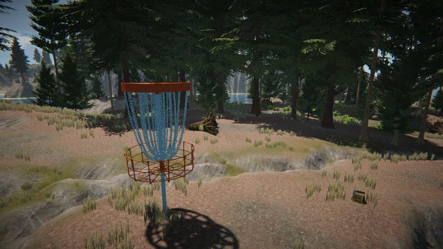 Basket in a sandy clearing