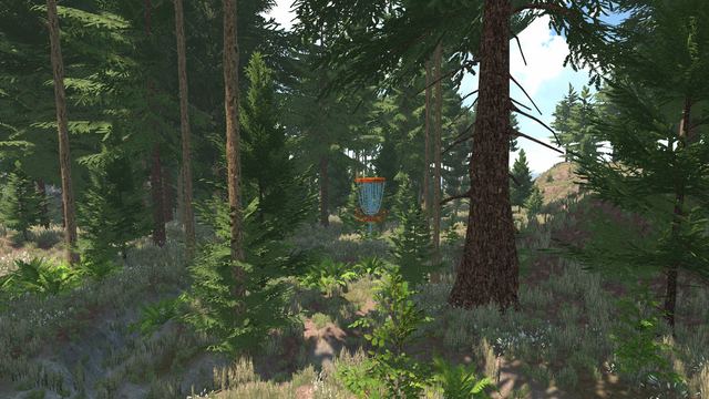 Dense forest fairway