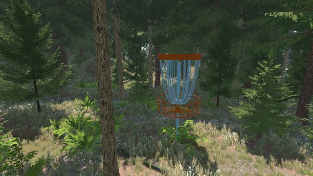 Basket deep in the forest