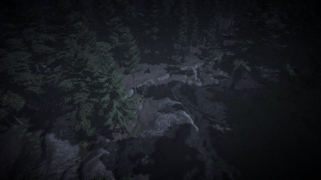 Night round through the pines