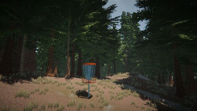 Forest path to the basket