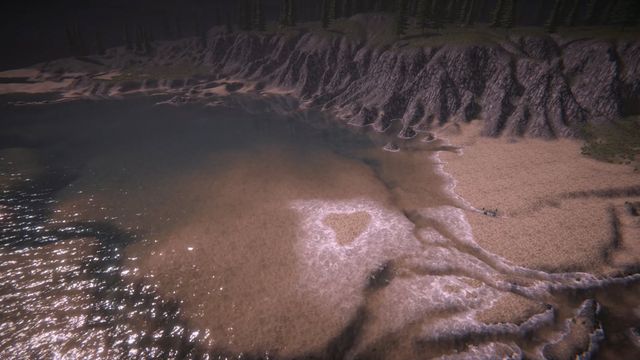 Pine Coast under the night sky